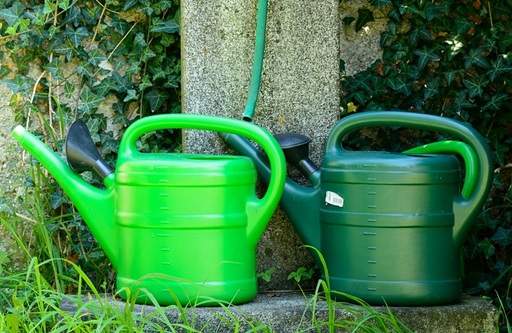 Watering topiary